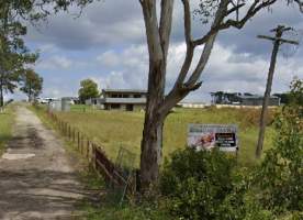 Captured at Macarthur Park Education Kennels, Werombi NSW Australia.