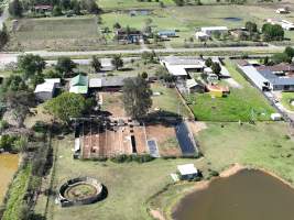 Captured at Greyhound Training - Unknown, Bringelly NSW Australia.