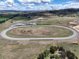 Captured at Bathurst Harness Racing Club, South Bathurst NSW Australia.