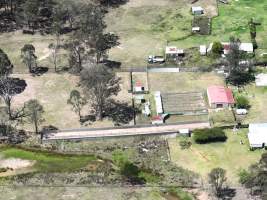 Captured at Golden Kennels- breeder, Londonderry NSW Australia.