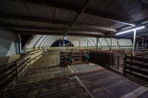 Empty holding pens - During the week these pens are used to hold sheep and calves overnight before they are slaughtered. - Captured at Tasmanian Quality Meats Abattoir, Cressy TAS Australia.