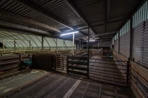 Empty holding pens - During the week these pens are used to hold sheep and calves overnight before they are slaughtered. - Captured at Tasmanian Quality Meats Abattoir, Cressy TAS Australia.