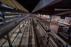 Empty holding pens - During the week these pens are used to hold sheep and calves overnight before they are slaughtered. - Captured at Tasmanian Quality Meats Abattoir, Cressy TAS Australia.