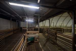 Empty holding pens - During the week these pens are used to hold sheep and calves overnight before they are slaughtered. - Captured at Tasmanian Quality Meats Abattoir, Cressy TAS Australia.