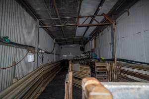 Race - A view of the race leading up to the restraint used to immobilise calves and sheep while they are stunned with an electric stunner. - Captured at Tasmanian Quality Meats Abattoir, Cressy TAS Australia.