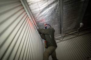 An investigator looks for places to install cameras - Captured at Tasmanian Quality Meats Abattoir, Cressy TAS Australia.