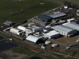 Drone flyover of slaughterhouse - Captured at Tasmanian Quality Meats Abattoir, Cressy TAS Australia.