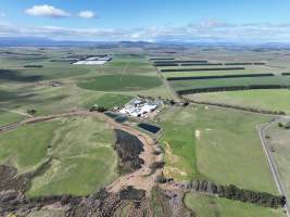 Drone flyover of slaughterhouse - Captured at Tasmanian Quality Meats Abattoir, Cressy TAS Australia.