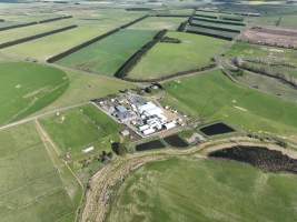 Drone flyover of slaughterhouse - Captured at Tasmanian Quality Meats Abattoir, Cressy TAS Australia.