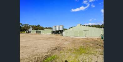 Shed Approach - https://www.realestate.com.au/property/2-hyslops-rd-boneo-vic-3939/ - Captured at Toru Farm, Boneo VIC Australia.