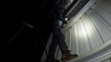 An investigator examines the walls of the holding pens - An investigator examines the walls of the holding pens looking for places to install hidden cameras - Captured at The Local Meat Co, Claude Road TAS Australia.