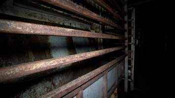 Knockbox and race - A photograph of the knockbox and race, taken at night - Captured at The Local Meat Co, Claude Road TAS Australia.