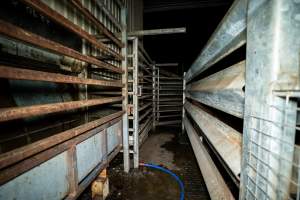 Knockbox & holding pens - Captured at The Local Meat Co, Claude Road TAS Australia.