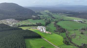 Drone flyover - The piggery seen from a distance from a drone - Captured at Scottsdale Pork piggery, Cuckoo TAS Australia.