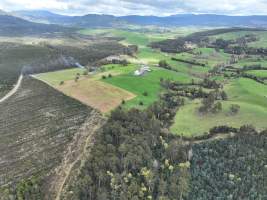 Drone flyover of slaughterhouse - Captured at Scottsdale Pork, Springfield TAS Australia.