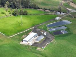 Drone flyover of slaughterhouse - Captured at Scottsdale Pork, Springfield TAS Australia.