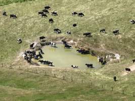 Drone Flyover Jan 2023 - Captured at Abel Agrico International, Shady Creek VIC Australia.