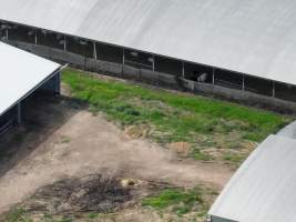 Drone Flyover Jan 2023 - Captured at Cibus Goats, Trafalgar East VIC Australia.