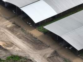 Drone Flyover Jan 2023 - Captured at Cibus Goats, Trafalgar East VIC Australia.