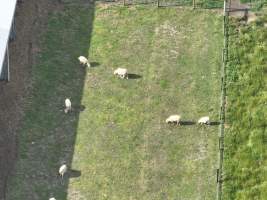 Drone Flyover Jan 2023 - Captured at Gippy Goat Dairy, Yarragon VIC Australia.