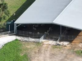 Drone Flyover Jan 2023 - Captured at Gippy Goat Dairy, Yarragon VIC Australia.