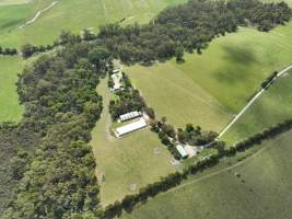 Drone Flyover Jan 2023 - Captured at Thalia Park - Gippsland Farmed Rabbits, Yarragon VIC Australia.