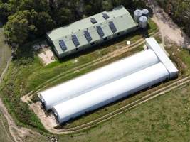 Drone Flyover Jan 2023 - Captured at Thalia Park - Gippsland Farmed Rabbits, Yarragon VIC Australia.