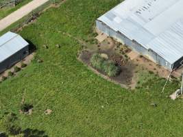 Drone Flyover Jan 2023 - Captured at Somerville Egg Farm, Moorooduc VIC Australia.