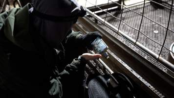 An investigator looks through footage from hidden cameras on a phone - Captured at Wal's Bulk Meats, Stowport TAS Australia.