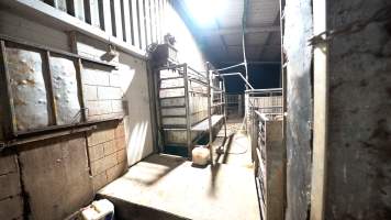 The knockbox and holding pens - Captured at Wal's Bulk Meats, Stowport TAS Australia.