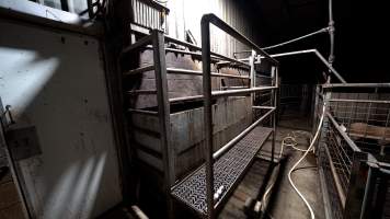 The knockbox and kill room door - Captured at Wal's Bulk Meats, Stowport TAS Australia.