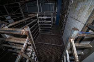 Stun pen and holding pen - A view of the stun pen and pre-stun holding pen from the race, as well as the door to the kill room. These pens are used to confine and slaughter sheep, pigs and goats. - Captured at Gretna Meatworks, Rosegarland TAS Australia.