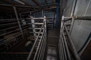 Race, stun pen and holding pen - A view of the race, stun pen and holding pen from the race, as well as the door to the kill room. These pens are used to confine and slaughter sheep, pigs and goats. - Captured at Gretna Meatworks, Rosegarland TAS Australia.