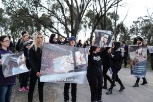 Hatchery lockdown action - In July 2016, 100 activists from across the country converged on the facility in Huntly, Victoria, with 21 entering the hatchery by surprise and halting operations for two hours in an effort to draw further public attention to the inherent cruelty of the egg industry. Over 150 male chicks - some just seconds from being killed - were rescued and are now living out their lives, happily and healthily, with experienced carers. - Captured at SBA Hatchery, Bagshot VIC Australia.