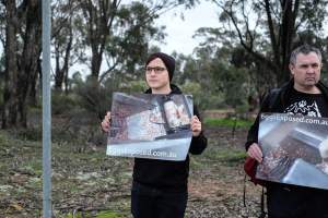 Hatchery lockdown action - In July 2016, 100 activists from across the country converged on the facility in Huntly, Victoria, with 21 entering the hatchery by surprise and halting operations for two hours in an effort to draw further public attention to the inherent cruelty of the egg industry. Over 150 male chicks - some just seconds from being killed - were rescued and are now living out their lives, happily and healthily, with experienced carers. - Captured at SBA Hatchery, Bagshot VIC Australia.