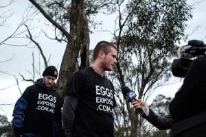 Hatchery lockdown action - In July 2016, 100 activists from across the country converged on the facility in Huntly, Victoria, with 21 entering the hatchery by surprise and halting operations for two hours in an effort to draw further public attention to the inherent cruelty of the egg industry. Over 150 male chicks - some just seconds from being killed - were rescued and are now living out their lives, happily and healthily, with experienced carers. - Captured at SBA Hatchery, Bagshot VIC Australia.