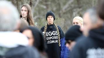 Hatchery lockdown action - In July 2016, 100 activists from across the country converged on the facility in Huntly, Victoria, with 21 entering the hatchery by surprise and halting operations for two hours in an effort to draw further public attention to the inherent cruelty of the egg industry. Over 150 male chicks - some just seconds from being killed - were rescued and are now living out their lives, happily and healthily, with experienced carers. 

Photos captured by the Bendigo Advertiser. - Captured at SBA Hatchery, Bagshot VIC Australia.