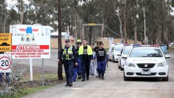 Hatchery lockdown action - In July 2016, 100 activists from across the country converged on the facility in Huntly, Victoria, with 21 entering the hatchery by surprise and halting operations for two hours in an effort to draw further public attention to the inherent cruelty of the egg industry. Over 150 male chicks - some just seconds from being killed - were rescued and are now living out their lives, happily and healthily, with experienced carers. 

Photos captured by the Bendigo Advertiser. - Captured at SBA Hatchery, Bagshot VIC Australia.