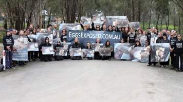 Hatchery lockdown action - In July 2016, 100 activists from across the country converged on the facility in Huntly, Victoria, with 21 entering the hatchery by surprise and halting operations for two hours in an effort to draw further public attention to the inherent cruelty of the egg industry. Over 150 male chicks - some just seconds from being killed - were rescued and are now living out their lives, happily and healthily, with experienced carers. 

Photos captured by the Bendigo Advertiser. - Captured at SBA Hatchery, Bagshot VIC Australia.