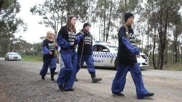 Hatchery lockdown action - In July 2016, 100 activists from across the country converged on the facility in Huntly, Victoria, with 21 entering the hatchery by surprise and halting operations for two hours in an effort to draw further public attention to the inherent cruelty of the egg industry. Over 150 male chicks - some just seconds from being killed - were rescued and are now living out their lives, happily and healthily, with experienced carers. 

Photos captured by the Bendigo Advertiser. - Captured at SBA Hatchery, Bagshot VIC Australia.