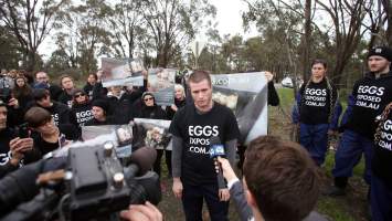 Hatchery lockdown action - In July 2016, 100 activists from across the country converged on the facility in Huntly, Victoria, with 21 entering the hatchery by surprise and halting operations for two hours in an effort to draw further public attention to the inherent cruelty of the egg industry. Over 150 male chicks - some just seconds from being killed - were rescued and are now living out their lives, happily and healthily, with experienced carers. 

Photos captured by the Bendigo Advertiser. - Captured at SBA Hatchery, Bagshot VIC Australia.