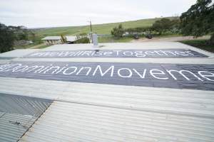 Activists occupy the rooftop of Strath Meats slaughterhouse - In September 2018, activists from Farm Transparency Project (then Aussie Farms) occupied the roof of Strath Meats in South Australia, a facility which featured heavily in Dominion. The action gained significant news coverage and shut down operations for a full day. Activists remained on the roof for 18 hours before coming down voluntarily after the slaughterhouse surrendered a sheep who would otherwise have been killed. - Captured at Strath Meats, Strathalbyn SA Australia.