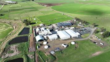 Drone flyover of slaughterhouse - Captured at Tasmanian Quality Meats Abattoir, Cressy TAS Australia.