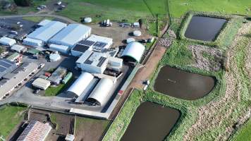 Drone flyover of slaughterhouse - Captured at Tasmanian Quality Meats Abattoir, Cressy TAS Australia.