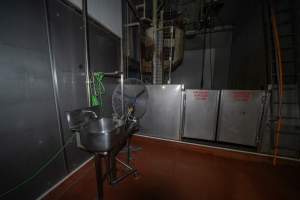 Upper level of cattle kill room - Shackled cows are hoisted from the floor below and moved through the swinging doors - Captured at Gathercole's Wangaratta Abattoir, Wangaratta VIC Australia.