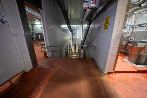 Shackle line between cattle and sheep/pig kill rooms - Leading to the chillers - Captured at Gathercole's Wangaratta Abattoir, Wangaratta VIC Australia.