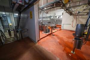 Sheep/pig processing room - Captured at Gathercole's Wangaratta Abattoir, Wangaratta VIC Australia.