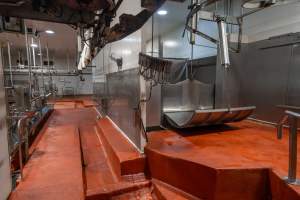 Scalding tank and sheep/pig processing room - Captured at Gathercole's Wangaratta Abattoir, Wangaratta VIC Australia.