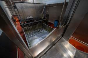 Scalding tank for pigs - Captured at Gathercole's Wangaratta Abattoir, Wangaratta VIC Australia.