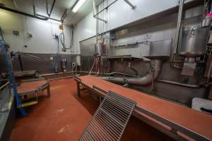 Cattle processing room - Captured at Gathercole's Wangaratta Abattoir, Wangaratta VIC Australia.